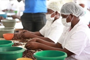 Formation Transformation des Produits Locaux